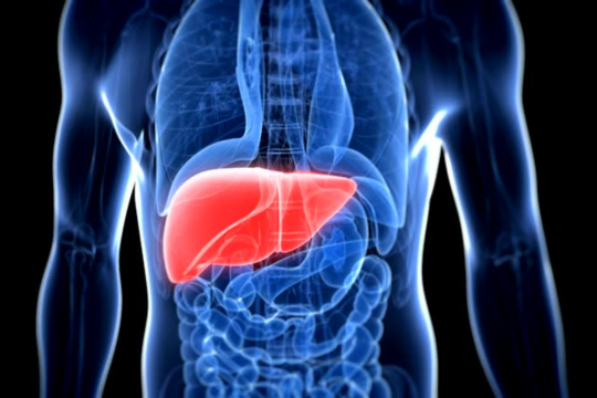 Cleansing the Liver and Blood Vessels: The Power of Two Key Ingredients.