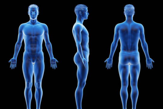 Blood Type Diet vs. Body Type Diet: Unlocking the Best Approach for Your Health and Wellness.